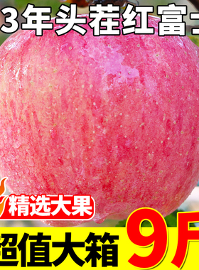 陕西红富士苹果水果新鲜整箱当季脆甜丑平果整箱10小冰糖心包邮斤