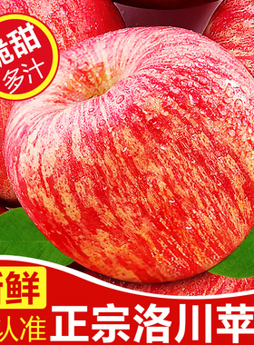 正宗陕西洛川红富士苹果水果新鲜甜脆当季10斤整箱冰糖心丑苹果