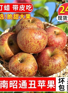 云南昭通丑苹果冰糖心新鲜水果当季红露苹果红富士苹果10斤脆甜