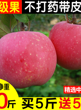 晋味来壶口苹果水果新鲜当季整箱10斤装应季山西吉县一级红富士丑