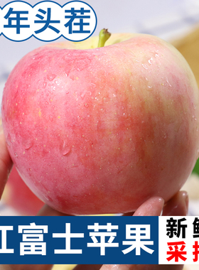 山西脆甜红富士苹果水果新鲜当季水果丑苹果整箱嘎啦现季带10十