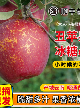 【顺丰】当季现摘云南昭通冰糖心红露丑苹果红富士新鲜水果5斤