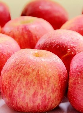 洛川苹果 陕西红富士苹果新鲜水果 20枚75礼盒装整箱顺丰包邮