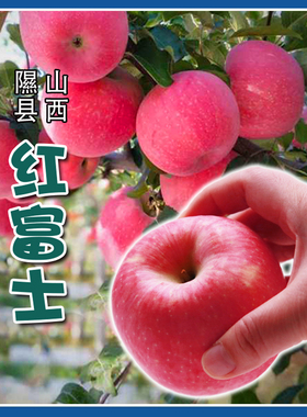 骀嫂隰县红富士苹果脆甜果味浓郁冰糖心应季新鲜水果整箱包邮