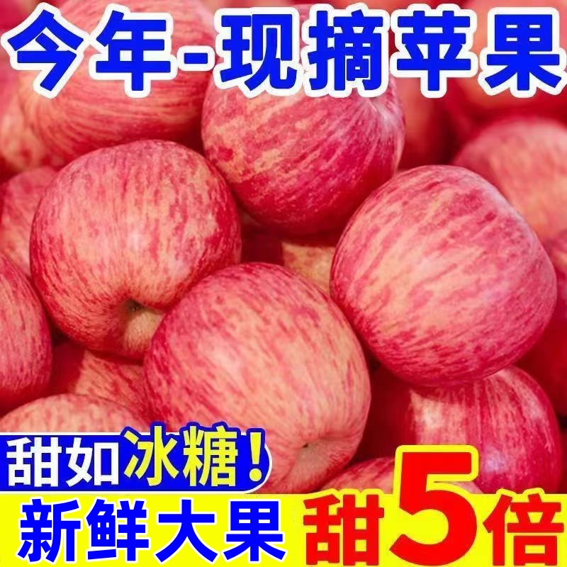 山东烟台红富士新鲜苹果应季水果10斤包邮心新鲜水果当季整箱脆甜