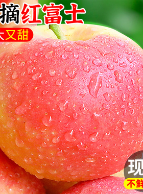 陕西红富士苹果9斤水果新鲜应当季脆甜丑萍果整箱冰糖心包邮