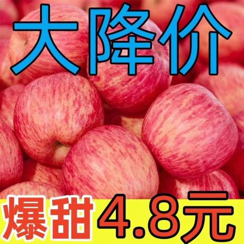 正宗陕西洛川苹果水果新鲜当季延安红富士脆甜6枚装整箱产地直发