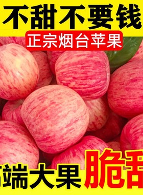 苹果新鲜水果当季整箱正宗山东烟台红富士栖霞苹果10斤冰糖心苹果