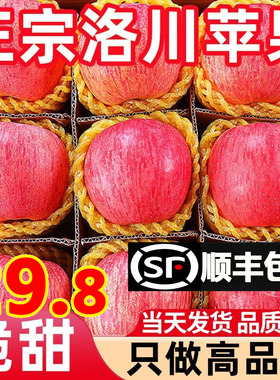 顺丰包邮新鲜水果洛川苹果陕西正宗产地直发延安红富士当季整箱10