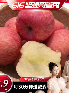 【坚强哥首秀】  新鲜水果苹果洛川红富士苹果当季高原冰糖