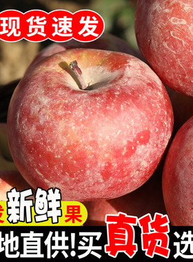 新疆阿克苏冰糖心苹果水果新鲜应当季整箱10斤包邮红富士丑苹果大
