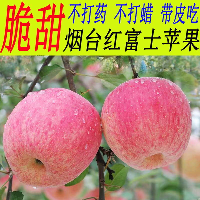 烟台苹果水果新鲜当季脆甜农特产吃助农10斤山东栖霞红富士冰糖心