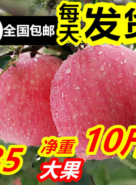 新鲜烟台栖霞红富士苹果水果条纹脆甜10斤85包邮当季山东萍果吃的