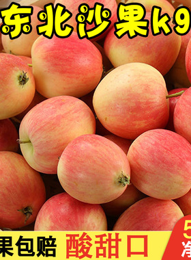 沙果k9新鲜现摘5斤包邮东北特产小苹果鸡心果锦绣海棠果孕妇水果