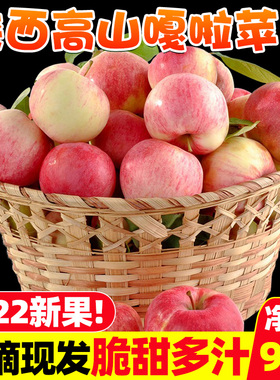 正宗陕西嘎啦苹果9斤新鲜水果当季整箱包邮红富士孕妇丑苹果脆甜