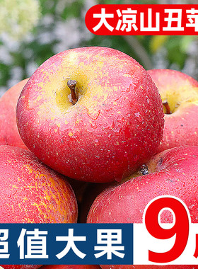 大凉山丑苹果9斤水果新鲜当季整箱脆甜冰糖心盐源红富士苹果包邮5