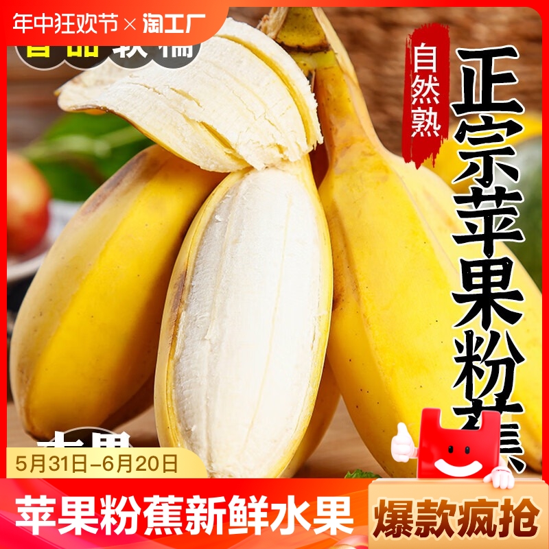 广西正宗苹果蕉当季水果新鲜自然熟整箱包邮香蕉小芭蕉苹果粉蕉