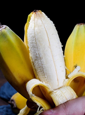 福建苹果蕉时令新鲜现摘小香蕉青蕉生果当季水果整箱包邮百补