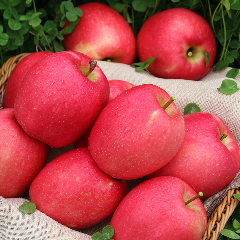 汇承瑞香红苹果小果同城新鲜当季水果红富士果园现摘直发包邮4斤