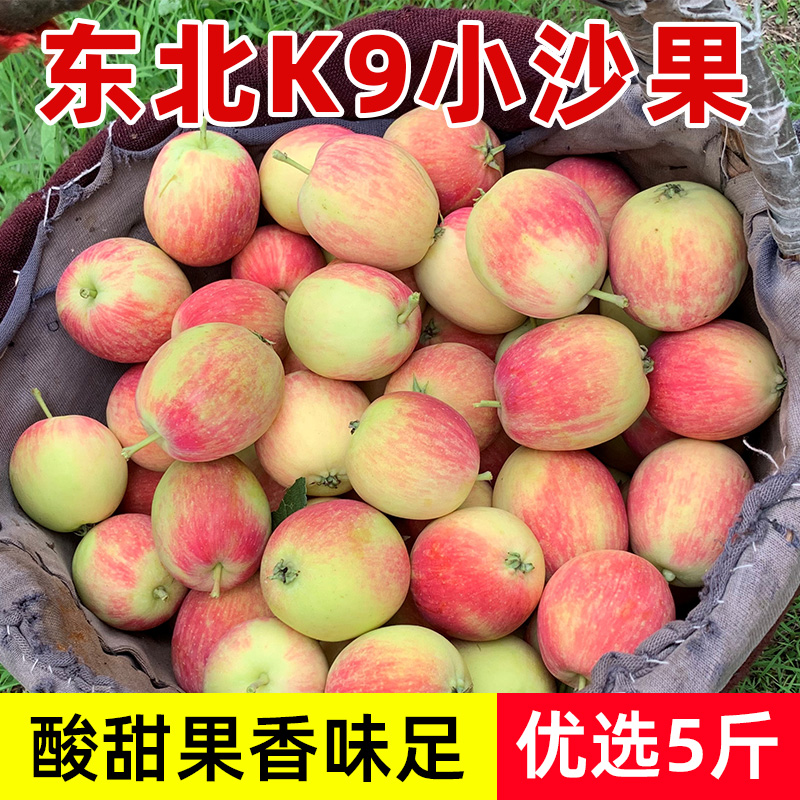 东北K9沙果海棠果5斤小苹果包邮特产开久花红鸡心新鲜孕妇酸水果