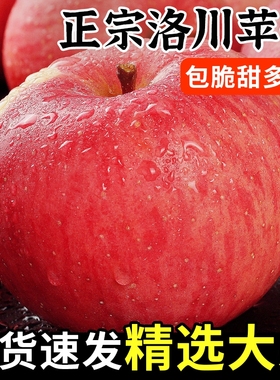陕西洛川苹果水果正宗新鲜斤红富士冰糖心当季整箱一级10脆甜包邮
