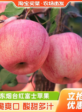 正宗山东红富士苹果大果时令水果新鲜脆甜整箱包邮