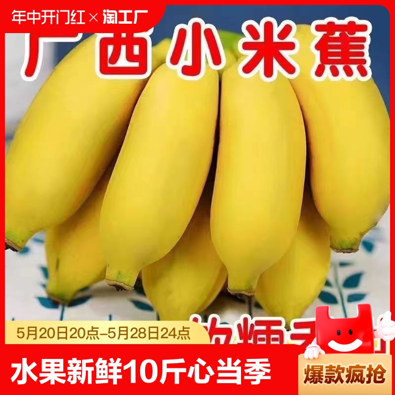 广西小米蕉香蕉水果新鲜9斤芭蕉心当季自然熟皇帝蕉苹果整箱包邮