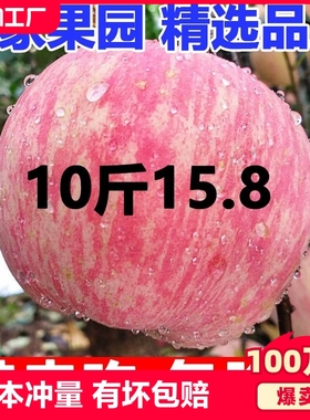 陕西洛川苹果水果新鲜当季红富士冰糖心丑苹果整箱10斤包邮尝鲜