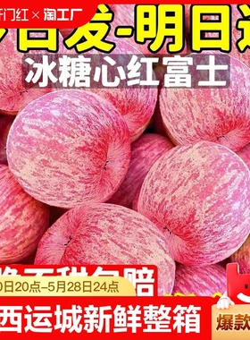 山西运城红富士苹果水果新鲜整箱当季脆甜丑平果10冰糖心包邮萍果