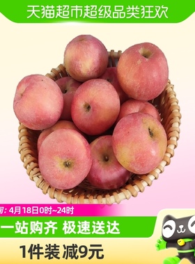 山东烟台红富士苹果6粒装单果70mm+脆甜可口新鲜水果整箱包邮