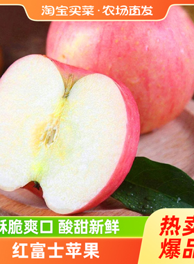 山东烟台红富士苹果4.5斤大果新鲜采摘整箱包邮新鲜水果山东苹果