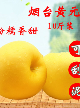 中果包邮 烟台新鲜水果10斤 黄元帅 黄蕉 黄金帅 粉面苹果刮泥吃