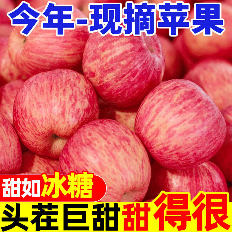 正宗高原新鲜当季苹果整箱商品红富士水果脆甜10斤包邮