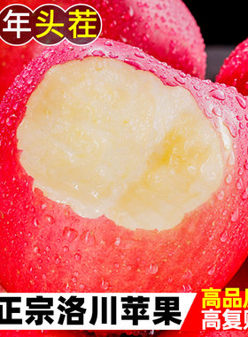正宗陕西洛川苹果水果新鲜当季整箱冰糖心红富士平安果10斤包邮