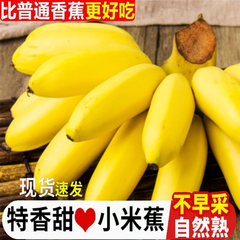 广西小米蕉当季水果新鲜9斤自然熟整箱苹果香蕉芭蕉包邮可食用