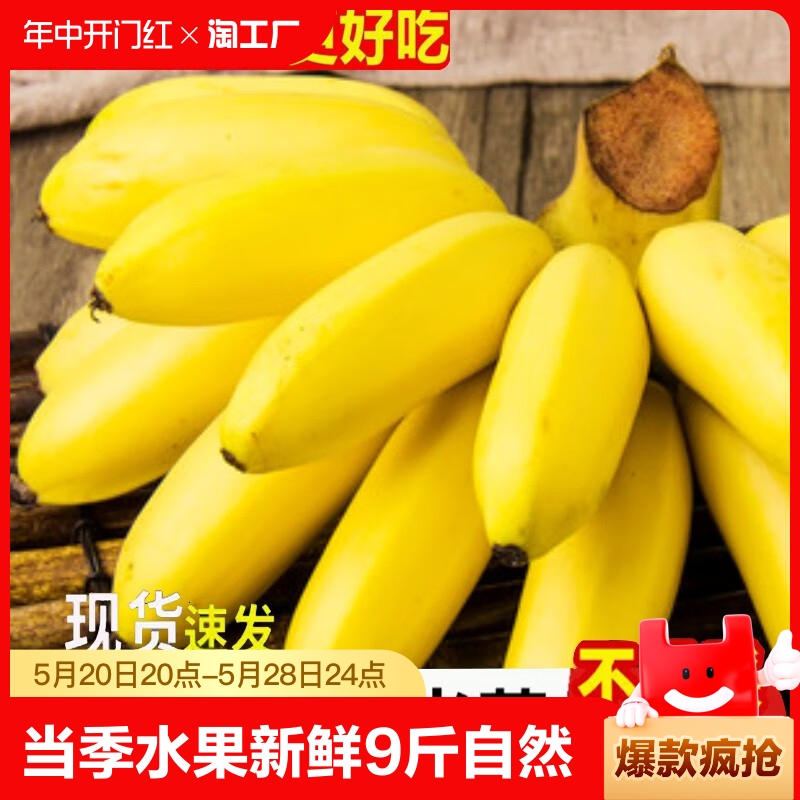 广西小米蕉当季水果新鲜9斤自然熟整箱苹果香蕉芭蕉包邮可食用