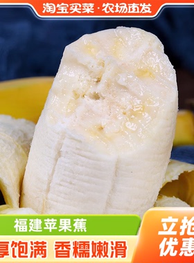 福建苹果蕉时令新鲜现摘小香蕉青蕉生果当季水果整箱包邮淘客