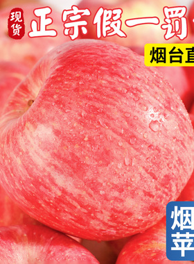 正宗山东烟台红富士苹果新鲜水果9斤当季整箱栖霞脆甜苹果10包邮
