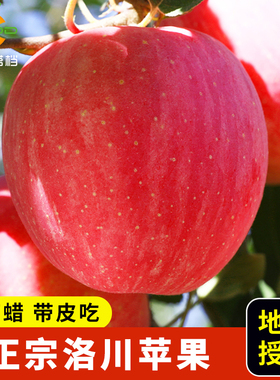 正宗陕西洛川苹果新鲜水果当季整箱5斤红富士脆甜一级冰糖心包邮