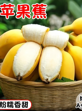 广西苹果蕉新鲜香蕉9斤自然熟当季水果小米蕉小香芭蕉整箱包邮10