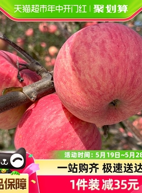 陕西洛川苹果4.5斤12枚装新鲜应季水果酸甜可口整箱包邮