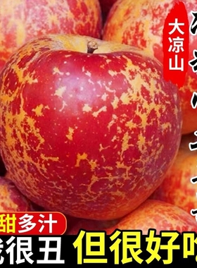 大凉山丑苹果冰糖心应当季新鲜水果整箱包邮四川盐源红富士苹果9