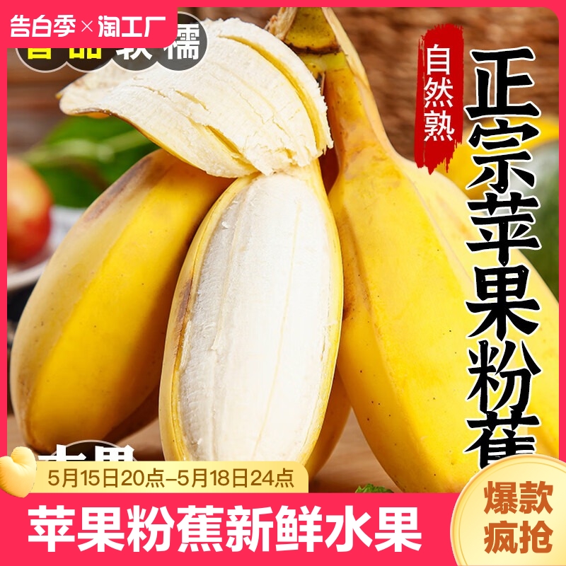 广西正宗苹果蕉当季水果新鲜自然熟整箱包邮香蕉小芭蕉苹果粉蕉