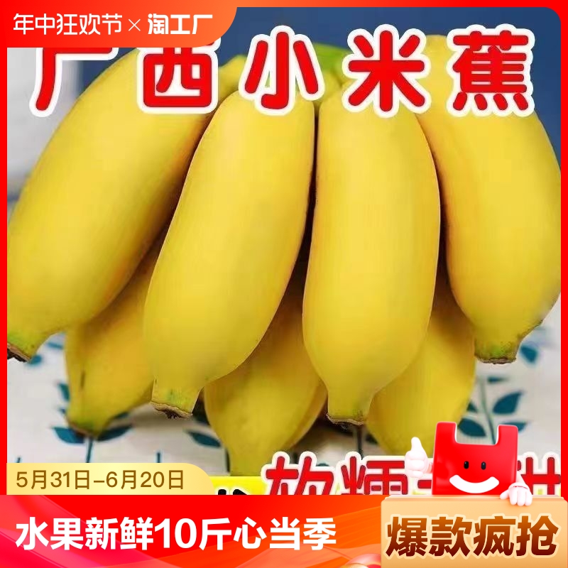 广西小米蕉香蕉水果新鲜9斤芭蕉心当季自然熟皇帝蕉苹果整箱包邮