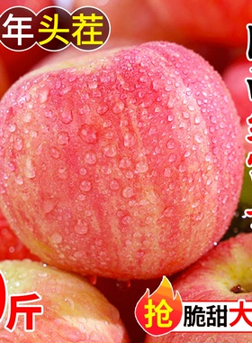 陕西红富士苹果10斤水果新鲜当季整箱冰糖心青红丑小平安果包邮