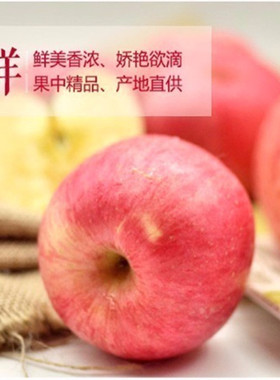 山东烟台栖霞红富士苹果水果9斤包邮新鲜当季吃脆甜山东苹果