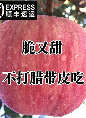 山东烟台大苹果新鲜水果 栖霞红富士非黄元帅脆甜应季5斤10斤