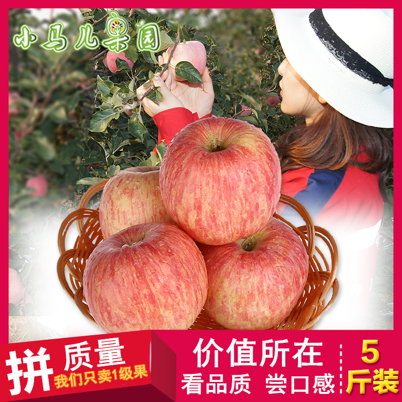 山东烟台苹果80#5斤正宗栖霞红富士条纹脆甜新鲜水果包邮