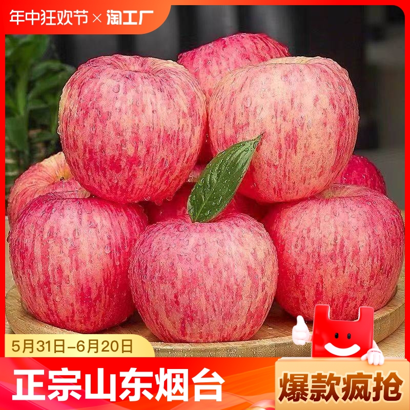 正宗山东烟台红富士苹果冰糖心脆甜新鲜水果精选大果现摘现发9斤