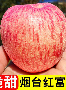 烟台红富士苹果山东栖霞当季新鲜孕妇吃的水果一级脆甜整箱